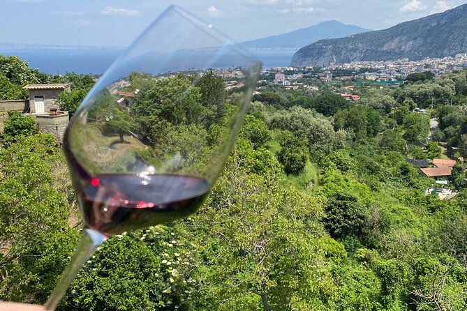 5 Wine Tastings with Typical Products in Sorrento Coast - Extra Virgin Olive Oil Flights, Flavored Varieties, and One Press Season Peek