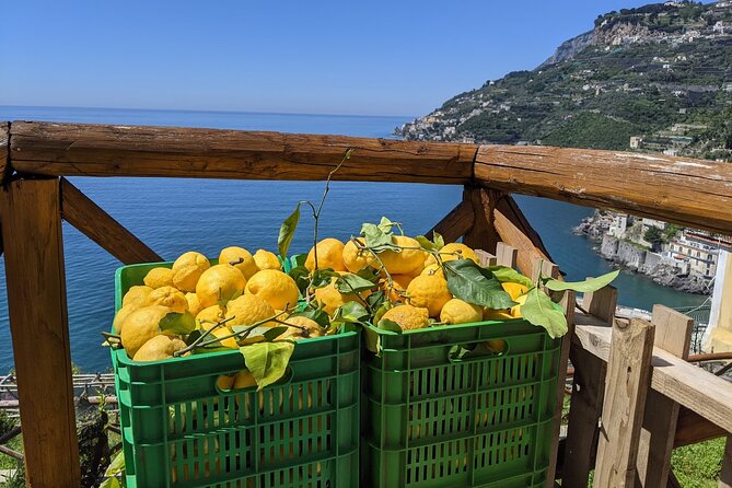 Amalfi Coast - Maiori: Path of Lemons Tour with Tasting - Where the Path of Lemons fits on the Amalfi Coast