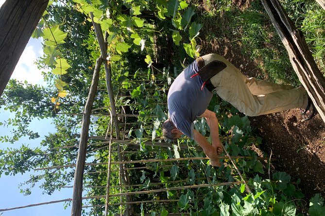 Amalfi Coast - Maiori: Path of Lemons Tour with Tasting - The optional farm visit: Giovanni Ruocco and the €15 add-on