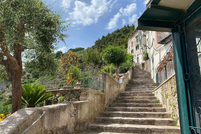 Amalfi Coast - Maiori: Path of Lemons Tour with Tasting - Price and value: is $60.47 worth it?