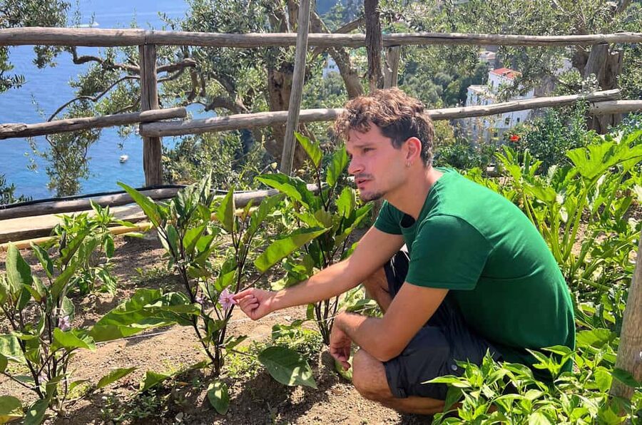 Amalfi Coast: Pizza & Mozzarella Class with Farmhouse visit - Wood-fired oven baking and tasting other pizzas