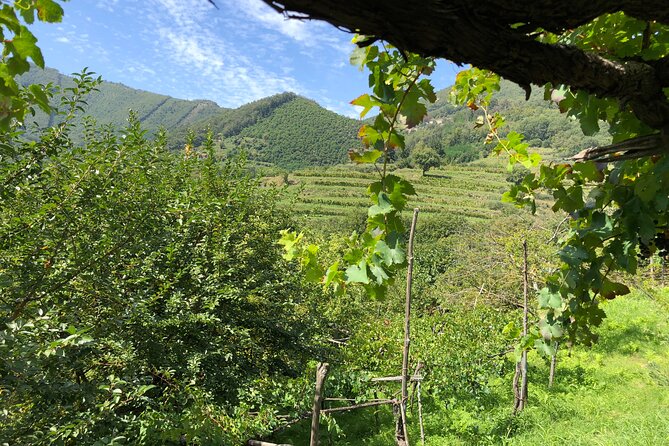 Amalfi coast private tour with Amalfi Ravello and Wine Tour from Positano - Amalfi at the start: a town stop built for wandering