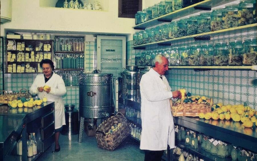 Amalfi: Limoncello Factory Visit with Instructor and Tasting - How You Taste on Purpose During the Workshop