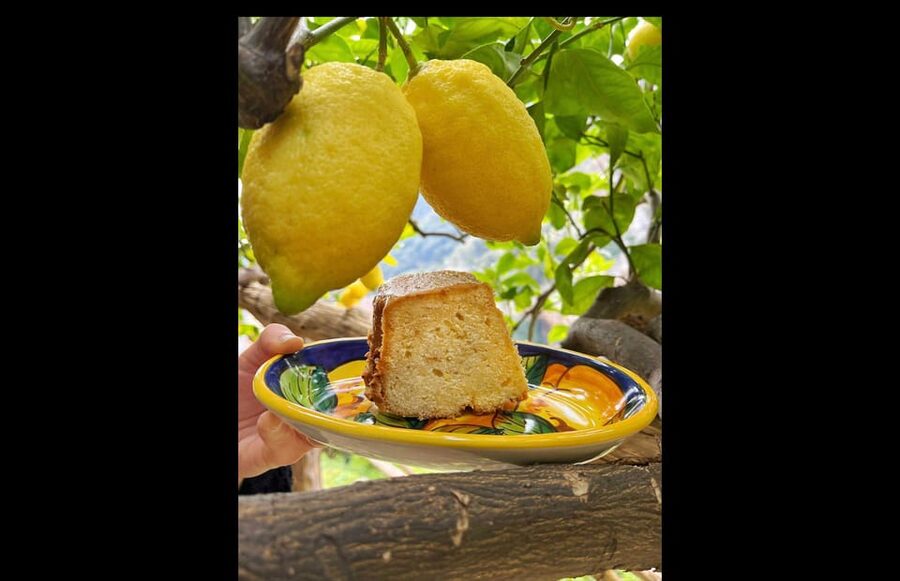Amalfi Organic Lemon Tour & Tasting in the Historical Garden - Price and value: is $59 actually fair?