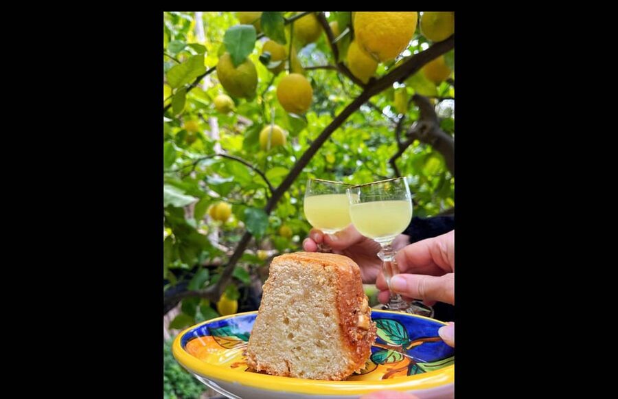 Amalfi Organic Lemon Tour & Tasting in the Historical Garden - Who should book this lemon tour