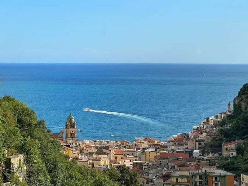 Amalfi Organic Lemon Tour & Wine Tasting + Dinner or Lunch - Why Amalfi lemons taste different in this Historical Garden