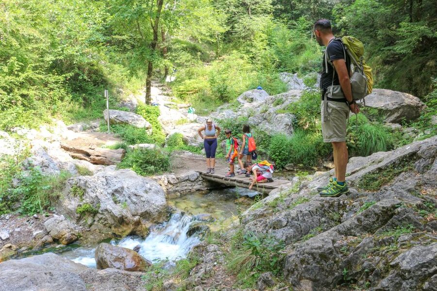 Amalfi: Private Valley of the Mills Nature Reserve Tour - Optional agriturismo lunch in the valley (and bio lemon juice)