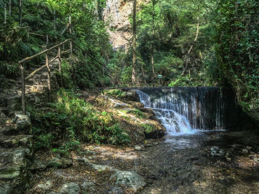 Amalfi: Private Valley of the Mills Nature Reserve Tour - Waterfalls and rare plants you’ll actually spot