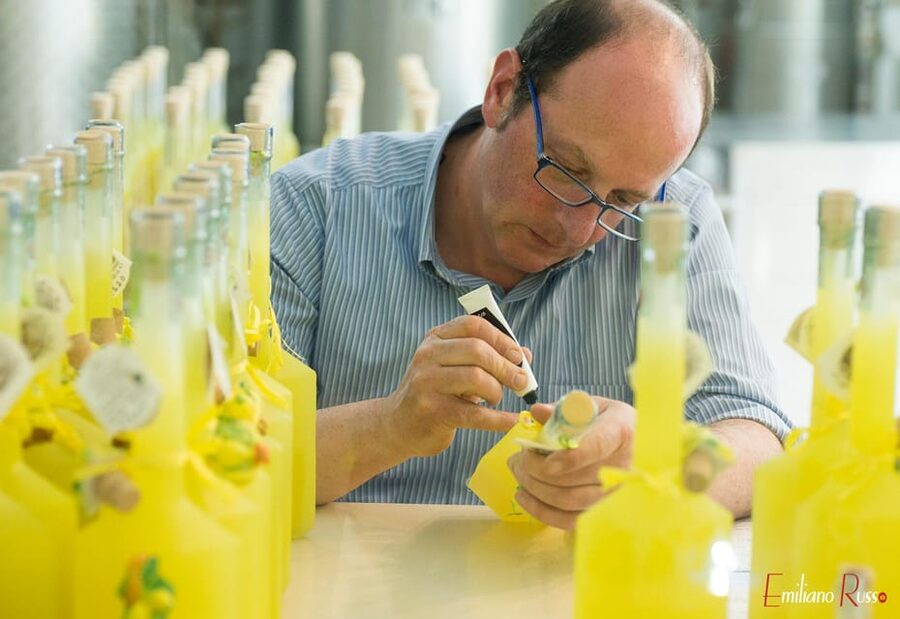 Amalfi: Vertical Lemon Farm Tour, Tastings, and Rural Museum - A family-run orchard, not a theme park