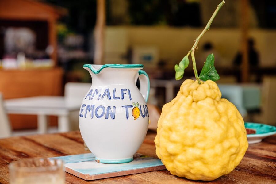 Amalfi: Vertical Lemon Farm Tour, Tastings, and Rural Museum - Price and time: is $41 worth it?