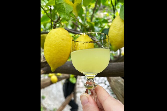 Authentic Amalfi Lemon Tour & Tasting in the Historical Garden - The Tasting: Lemonade, Limoncello, and Lemon Cake with a Sea View