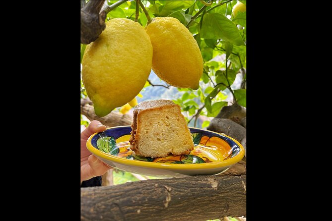 Authentic Amalfi Lemon Tour & Tasting in the Historical Garden - Why This Tour’s Price Feels Fair (and When It Might Not)