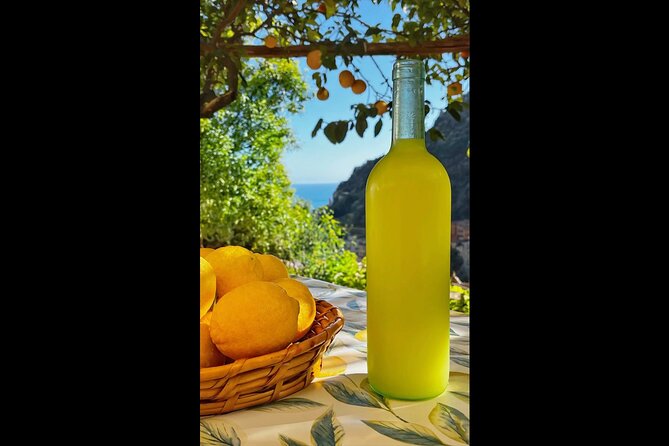 Authentic Amalfi Lemon Tour & Tasting in the Historical Garden - Should You Book This Tour or Skip It?