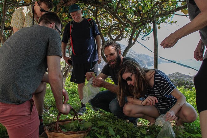 Cooking Class with garden visit - Who this tour fits best (and who should think twice)