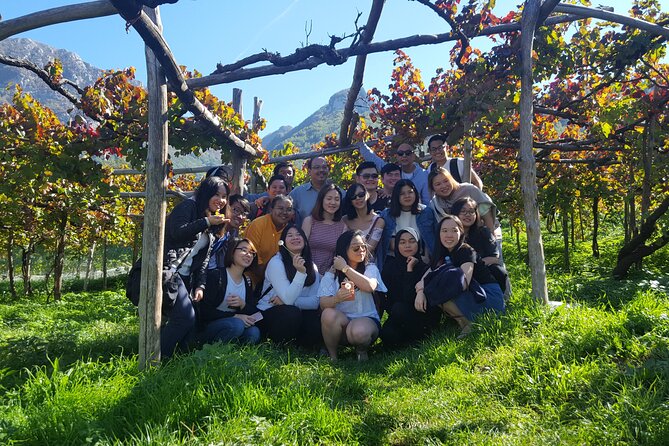 Family or friends Transportation Service for the Experiences - Your Wine Tour Connection: Think of This as the Best Part of Logistics