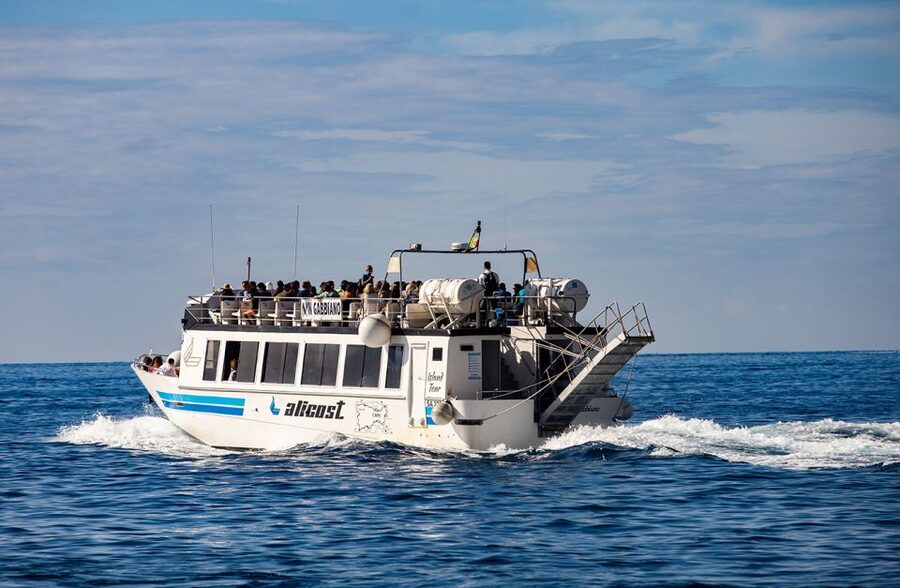 From Amalfi Coast: Capri and Anacapri Full-Day Guided Trip - Price and value: does $164 cover the hard parts of Capri logistics?