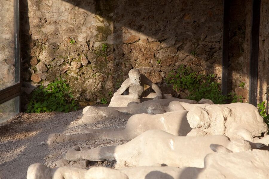 From Amalfi Coast: Pompeii Guided Tour - How much value you’re getting for $123.48