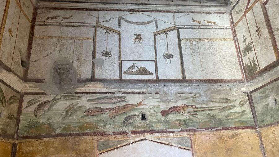 From Positano: Pompeii, Vesuvius, & Wine Tasting with Lunch - Pickup from Positano or Praiano, plus the long van rides in between