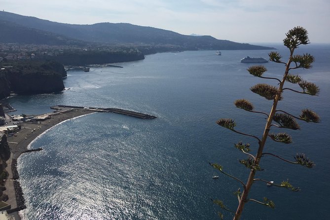 Full Day Private Sorrento & Amalfi Coast Tour from Positano - Pickup rules in Positano: what’s included and what costs extra