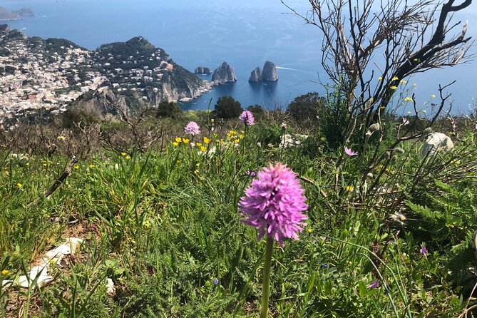 Gastronomic Hike on the Path of the Gods with Food Tasting - Shepherd’s House Stop: Songs, Pasta, and a Real Taste of Local Life
