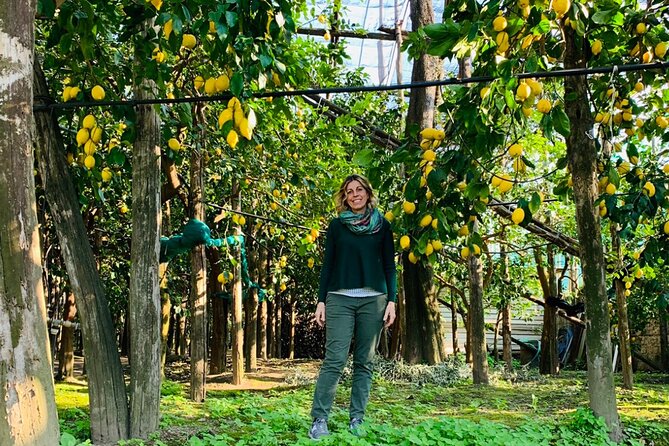 Guided tour of the history and tradition of the Sorrento lemon - Key highlights you’ll feel on the walk