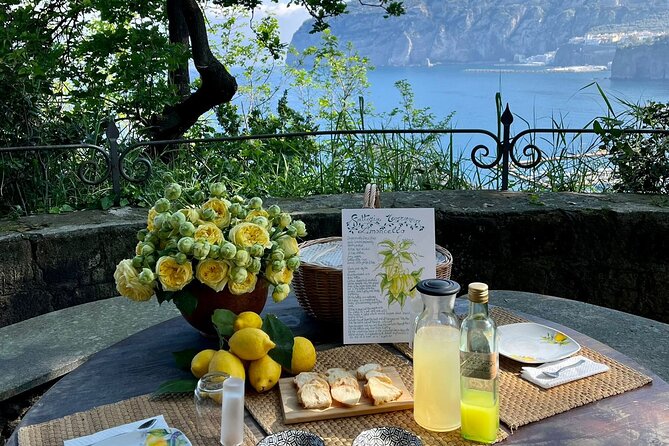 Guided tour of the history and tradition of the Sorrento lemon - Why Sant’Agnello’s lemon groves beat another “quick stop” in Amalfi