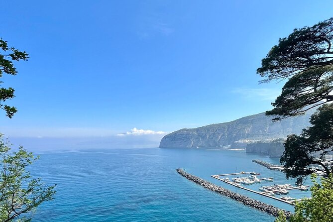 Guided tour of the history and tradition of the Sorrento lemon - Pizzo garden and the 19th-century estate first