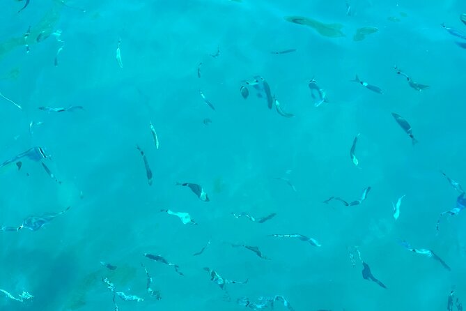 Half-Day Amalfi Coast Boat & Snorkeling Small Group Tour - On-Board Comfort: Towels, Shower, and Prosecco Breaks