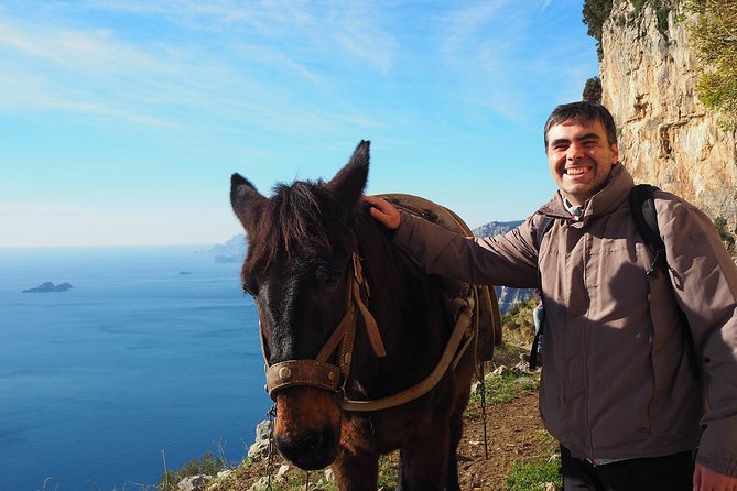Half-Day Private Amalfi Coast Path of the Gods Hike with Lunch - Coming Toward Positano: Views, Steps, and Your Calves