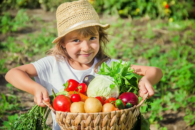 Hands-On Cooking Class & Farmhouse Tour on the Amalfi Coast - Terraced gardens first: what makes this Amalfi start feel different
