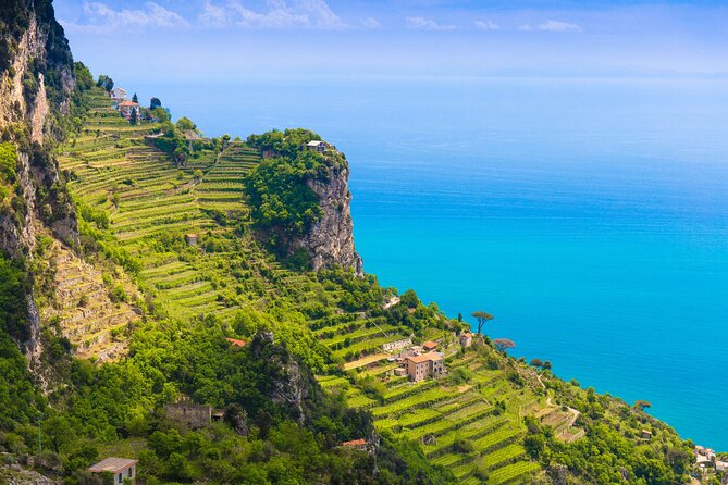 Hands-On Cooking Class & Farmhouse Tour on the Amalfi Coast - Garden picking: how your harvest shapes the menu