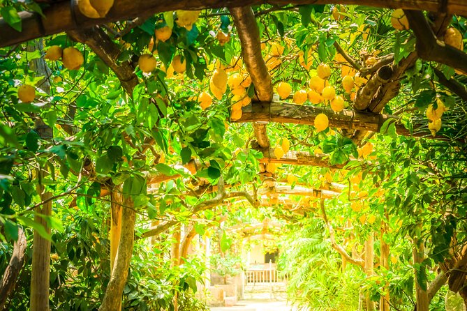 Hands-On Cooking Class & Farmhouse Tour on the Amalfi Coast - Price and value on the Amalfi Coast