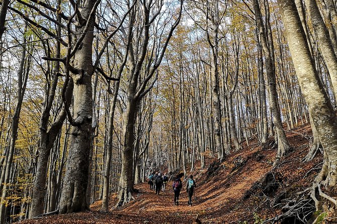 Hiking on Faito Mountain from Sorrento - Getting picked up in Sorrento and starting without stress