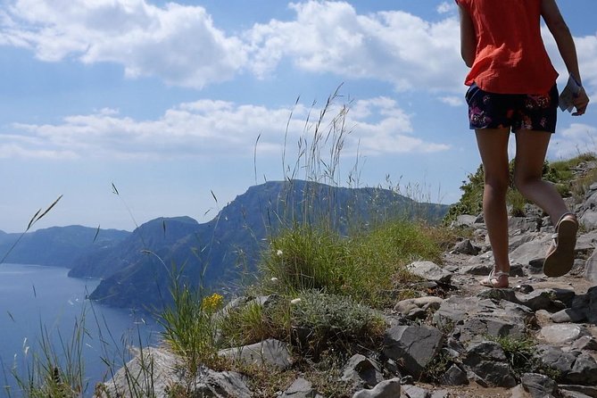 Hiking the Path of the Gods with Enzo: Amalfi Coast Adventure - Price and Value: What $83.45 Buys You