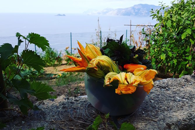 I offer cooking lesson of Amalfi tradition - Homemade Wines With Your Courses: Dining, Not Just Cooking