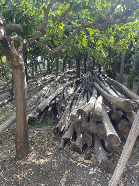Maiori: Amalfi Coast Path of Lemons Day Trip with Tastings - Price and value: $59 for a guided cliff walk plus a €15 farm add-on