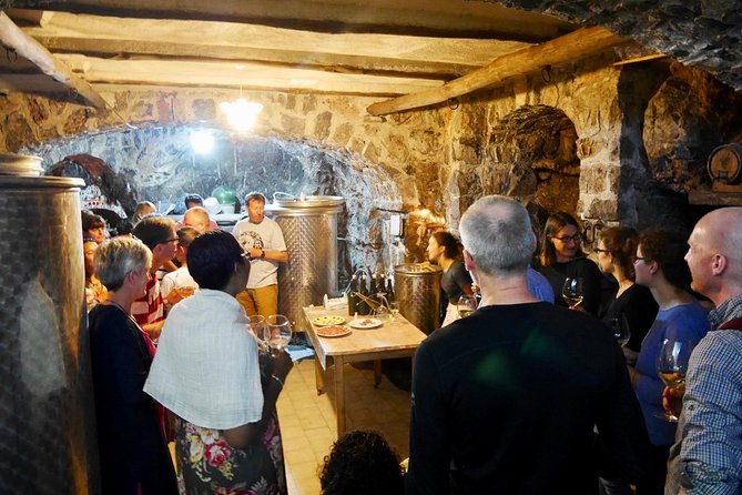 Milk the Cow & Make Mozzarella and Gnocchi with Our Family - Ancient cellar wine tasting: Catalanesca and Aglianico with the right food pairing