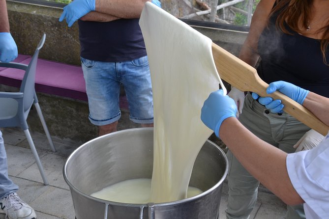 Mozzarella Class or Pizza Class - The mozzarella moment: cheese instruction plus a view to eat from