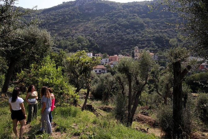 Olive oil tasting in Sorrento - Why flavored oils are worth tasting (even if you think you already know oil)