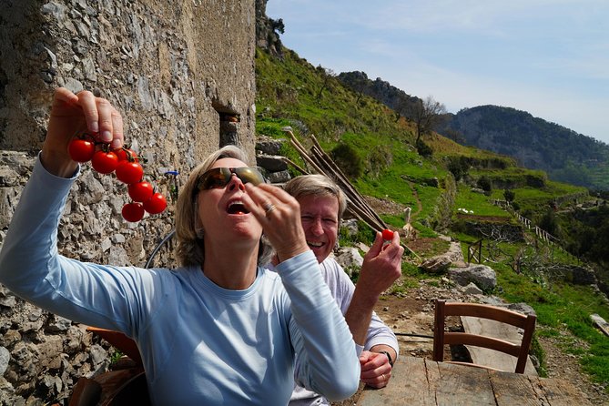 On the Path of the Gods: private trekking and shepherd snack - Where your walk fits into a Positano day
