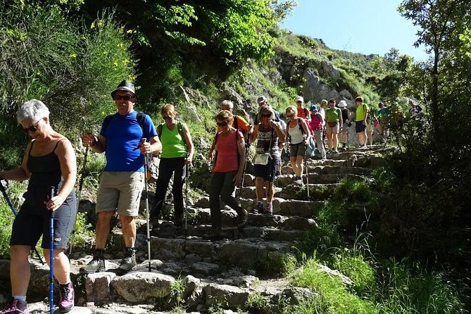 Path of Gods Hike, with Food Experience at Shepherd's Hut - Animals, herbs, and local stories that make the walk stick