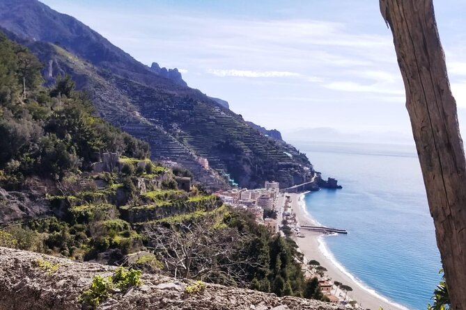 Path of the Lemons - Stop 2: Villa Romana di Minori (Roman villa + museum)