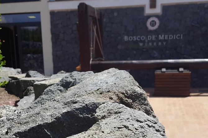 Pompei Archeological site and Wine tasting Experience - Pompeii Archaeological Park with a private guide: what you’ll get in two hours