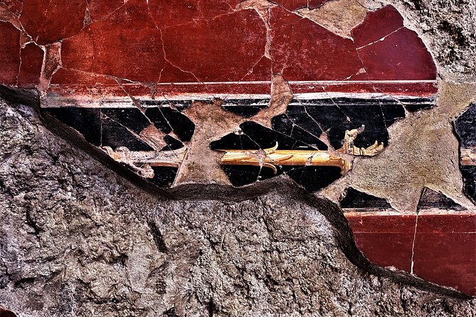 Pompeii Guided Tour and Wine Tasting from Positano - Price and value: what you’re paying for at $287.78