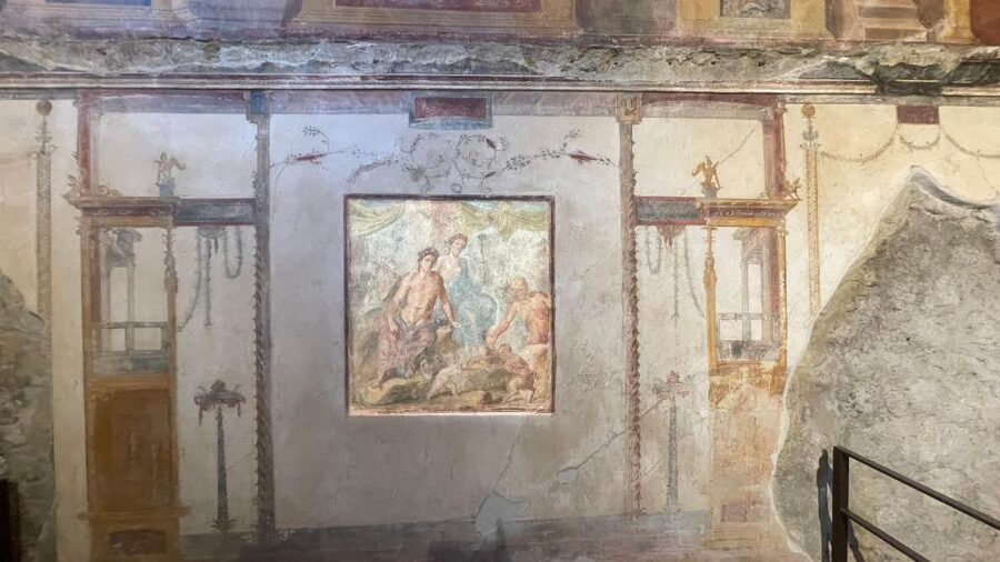 Pompeii - Vesuvius & Wine from Amalfi Coast all inclusive - Casa Setaro winery lunch and wine tasting (included)