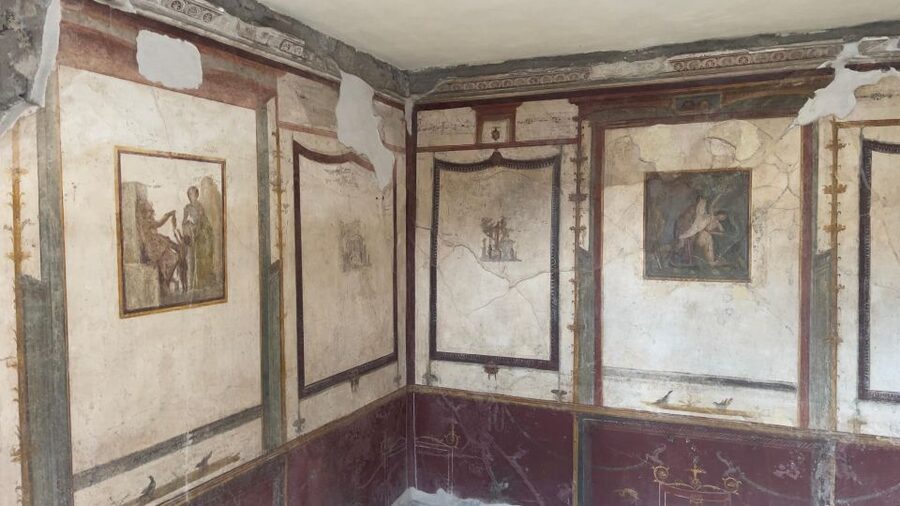 Pompeii - Vesuvius & Wine from Amalfi Coast all inclusive - Van timing and pacing: how the day stays under control