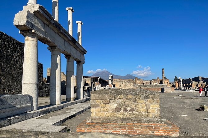 Pompeii, Vesuvius & wine tasting from Positano all inclusive - Casa Setaro Winery in Trecase: UNESCO Biosphere Reserve vibes and real character
