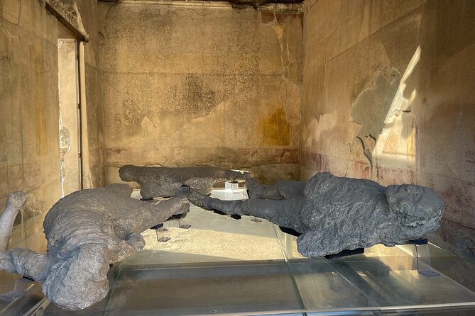Pompeii, Vesuvius & wine tasting from Positano all inclusive - How well does the whole day hang together?