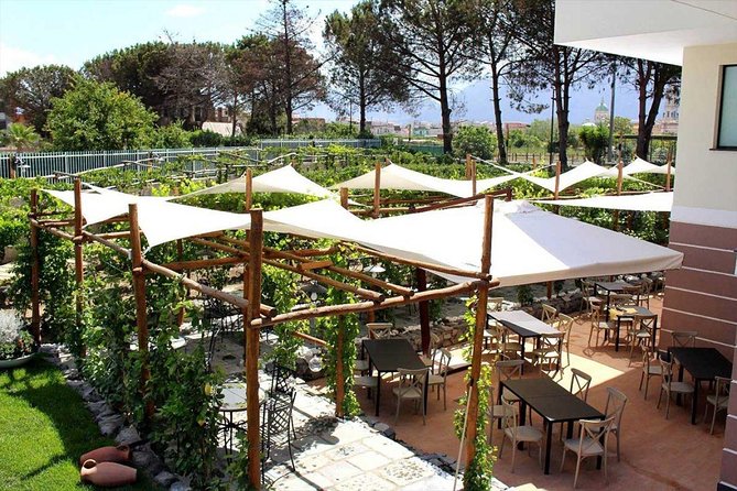 Pompeii & Vesuvius with Lunch & Wine Tasting from Amalfi Coast - Price and value: what you’re really paying for at $322.33