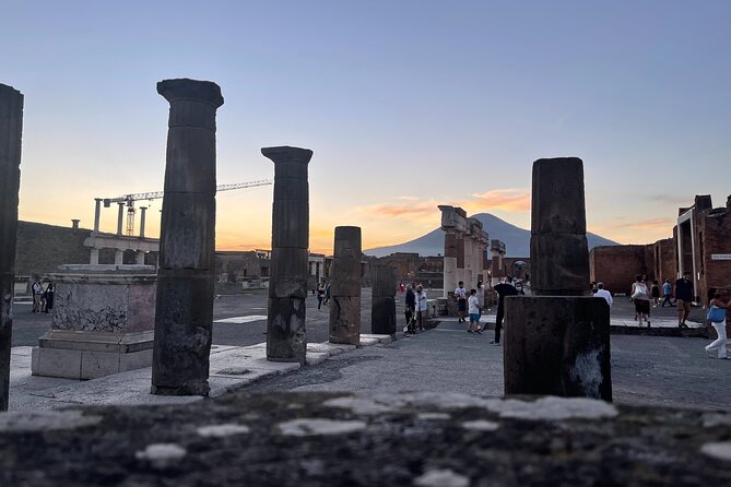 Pompeii & Vesuvius with Lunch & Wine Tasting from Amalfi Coast - Group size, guides, and keeping the day from feeling rushed